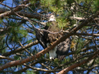 img_5040.jpg